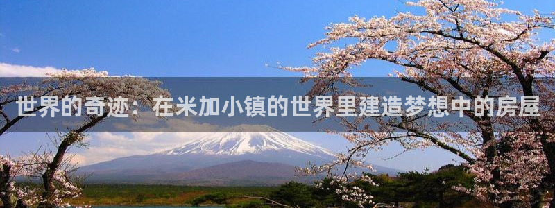 安信12官网qq：世界的奇迹：在米加小镇的世界里建造梦想中的房屋