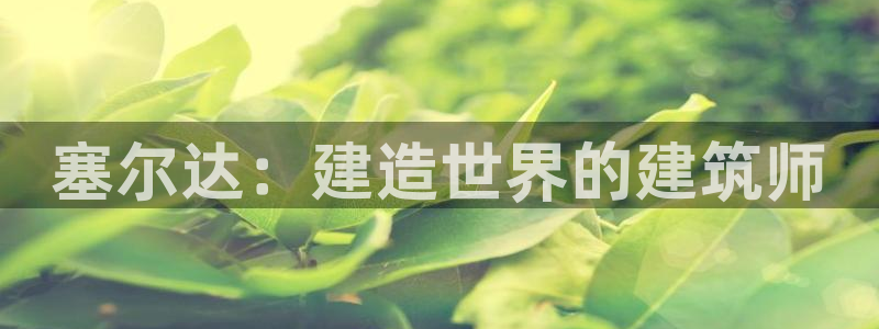 安信esp12k：塞尔达：建造世界的建筑师