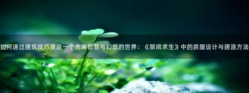 安信12娱乐：如何通过建筑技巧建造一个充满智慧与幻想的世界：《禁闭求生》中的房屋设计与建造方法