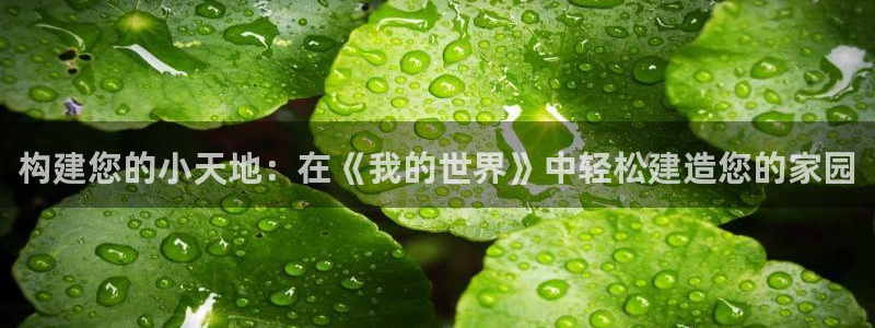 安信12级大众：构建您的小天地：在《我的世界》中轻松建造您的家园