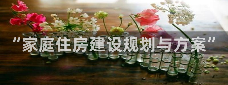 安信12登录网址：“家庭住房建设规划与方案”