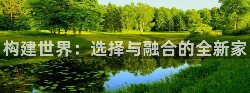 安信12平台最新消息：构建世界：选择与融合的全新家
