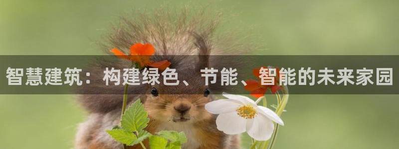 安信地板12mm：智慧建筑：构建绿色、节能、智能的未来家园