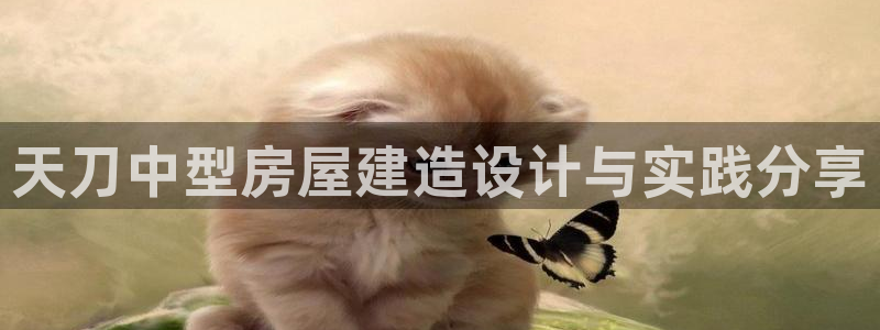 安信12周年：天刀中型房屋建造设计与实践分享