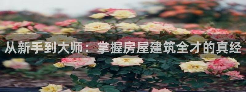 安信12是做什么：从新手到大师：掌握房屋建筑全才的真经