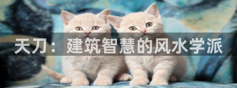 安信12是正规平台吗：天刀：建筑智慧的风水学派