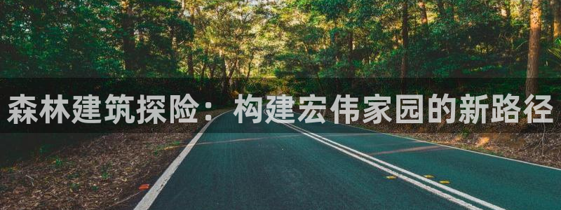 安信主管su金12手12指tq：森林建筑探险：构建宏伟家园的新路径