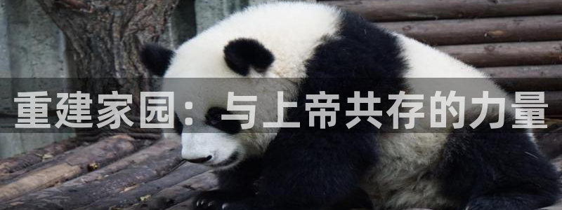 安信12登录网址：重建家园：与上帝共存的力量
