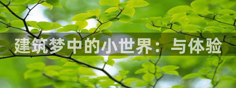 安信12怎么注册：建筑梦中的小世界：与体验