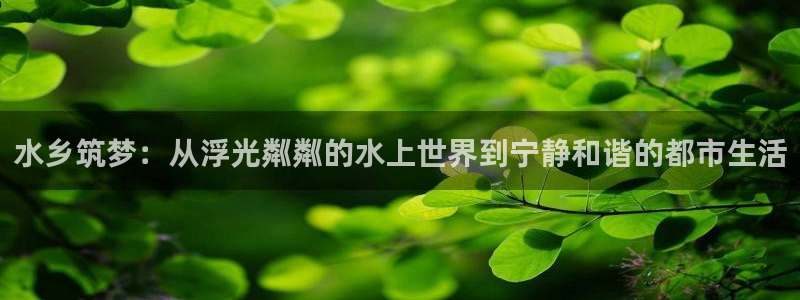 奇安信12流转场：水乡筑梦：从浮光粼粼的水上世界到宁静和谐的都市生活