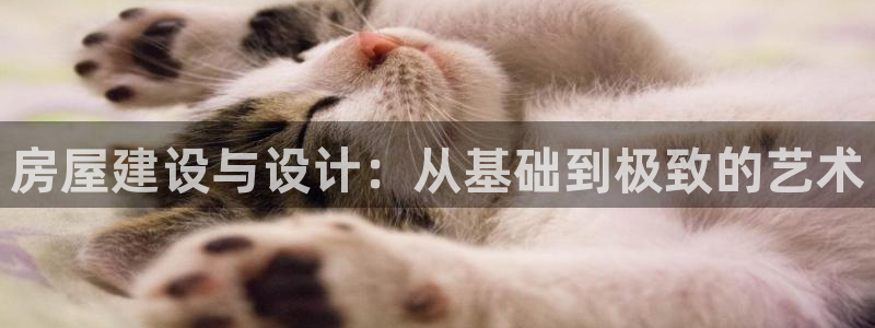 安信12是什么软件：房屋建设与设计：从基础到极致的艺术