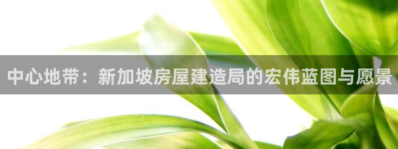 安信12官网：中心地带：新加坡房屋建造局的宏伟蓝图与愿景