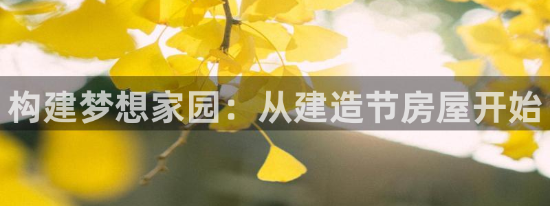 信安12乐打棒：构建梦想家园：从建造节房屋开始