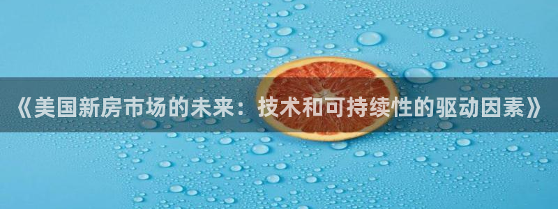 安信12彩票：《美国新房市场的未来：技术和可持续性的驱动因素》