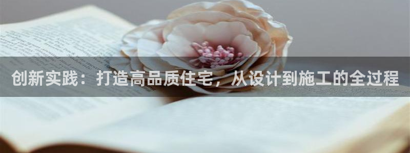 安信4娱乐去55 12：创新实践：打造高品质住宅，从设计到施工的全过程