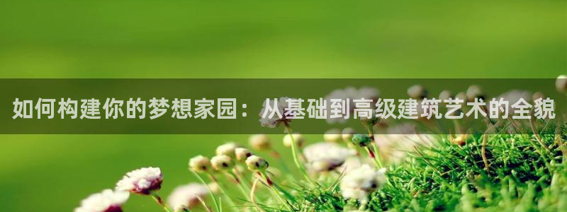 安信12软件介绍：如何构建你的梦想家园：从基础到高级建筑艺术的全貌