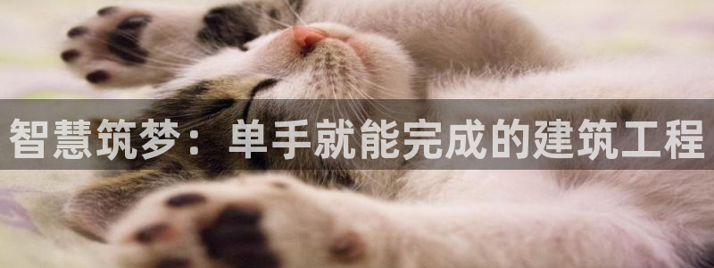 安信12娱乐招商：智慧筑梦：单手就能完成的建筑工程