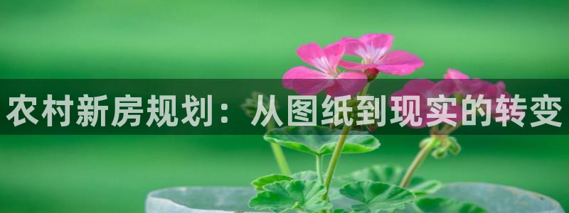 安信12平台可靠吗：农村新房规划：从图纸到现实的转变