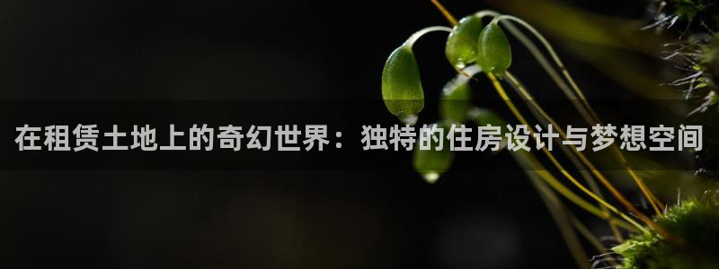 安信安盈12最新消息：在租赁土地上的奇幻世界：独特的住房设计与梦想空间