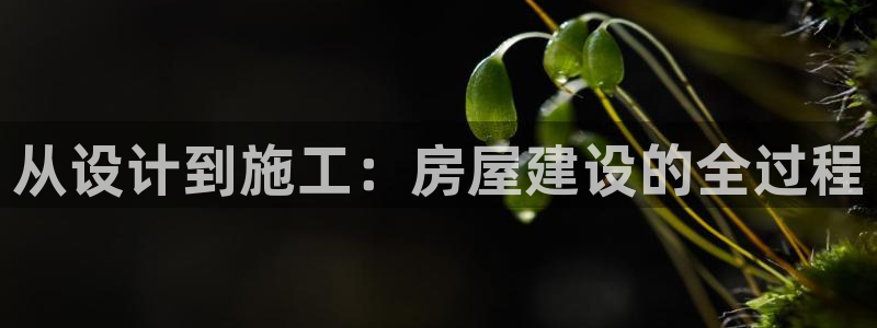 安信12平台怎么样：从设计到施工：房屋建设的全过程