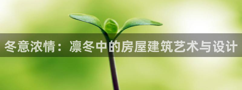 安信可12f代码：冬意浓情：凛冬中的房屋建筑艺术与设计
