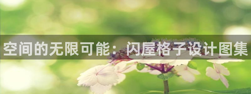安信12：空间的无限可能：闪屋格子设计图集