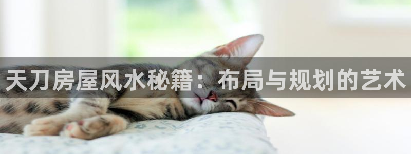 安信12官网qq：天刀房屋风水秘籍：布局与规划的艺术
