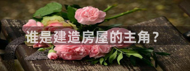 安信12官网qq：谁是建造房屋的主角？