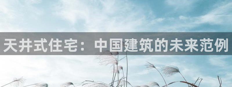 安信12彩票app下载：天井式住宅：中国建筑的未来范例