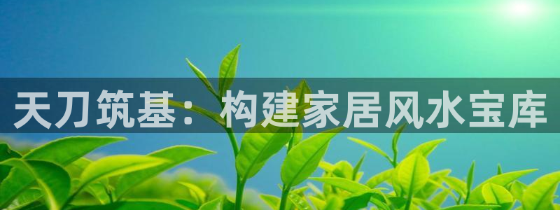 安信卓越12月：天刀筑基：构建家居风水宝库