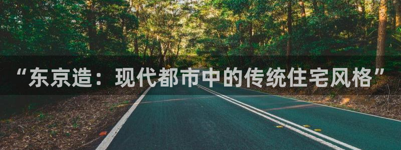 安信122853179Z空间：“东京造：现代都市中的传统住宅风格”