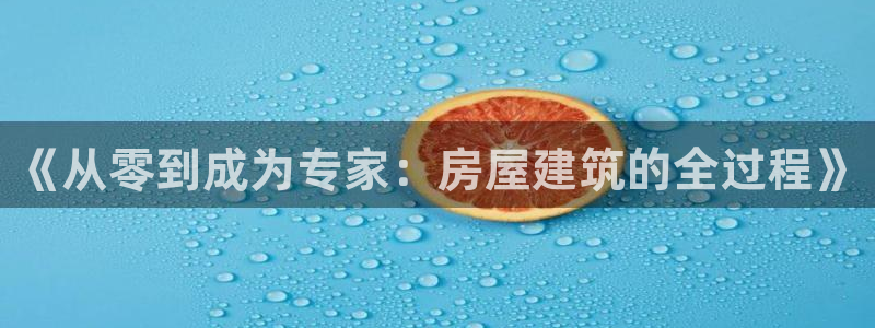 安信地板12mm：《从零到成为专家：房屋建筑的全过程》