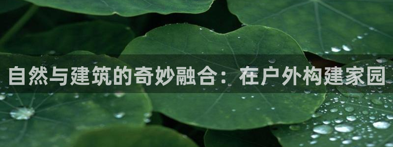 安信12真假：自然与建筑的奇妙融合：在户外构建家园