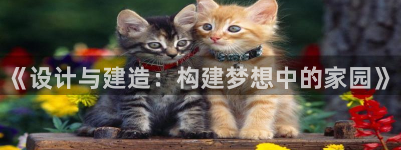 安信12彩票在线网址：《设计与建造：构建梦想中的家园》