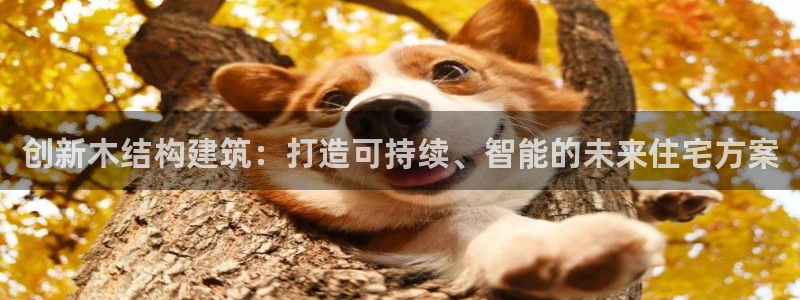 安信4娱乐去55 12：创新木结构建筑：打造可持续、智能的未来住宅方案