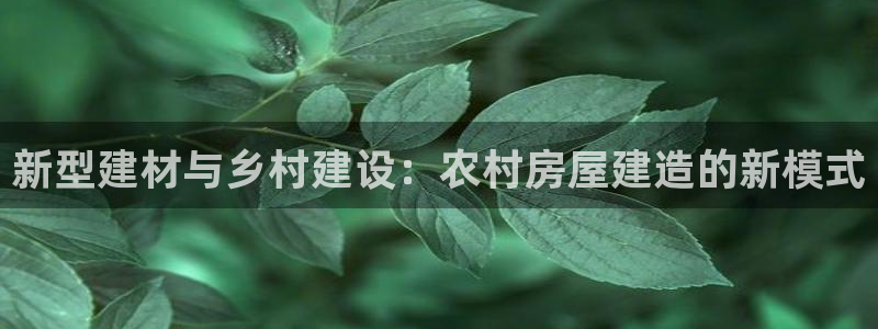 安信cwa12：新型建材与乡村建设：农村房屋建造的新模式