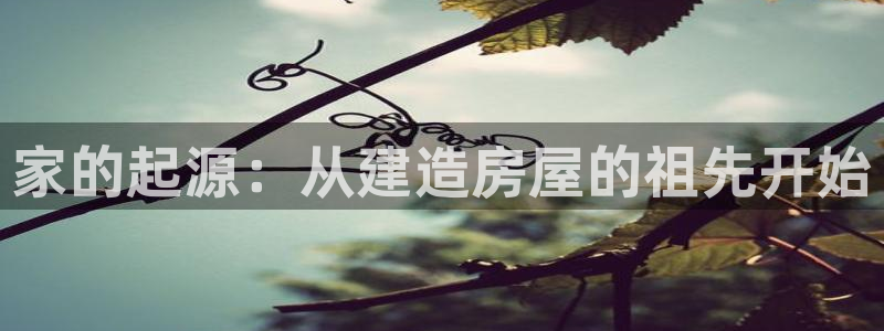 安信12是正规平台吗：家的起源：从建造房屋的祖先开始