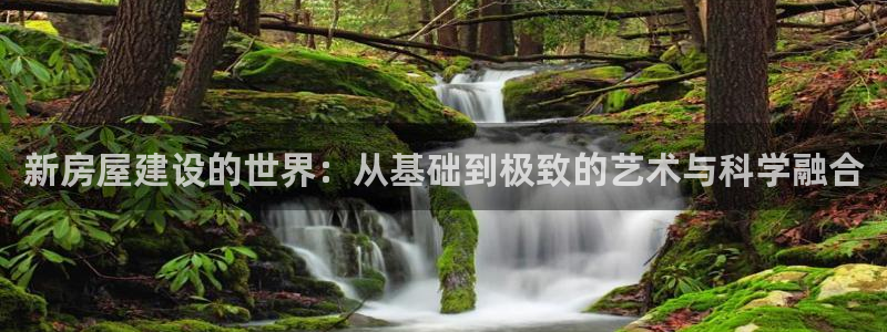 安信12官网：新房屋建设的世界：从基础到极致的艺术与科学融合