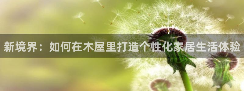 安信12平台开户：新境界：如何在木屋里打造个性化家居生活体验