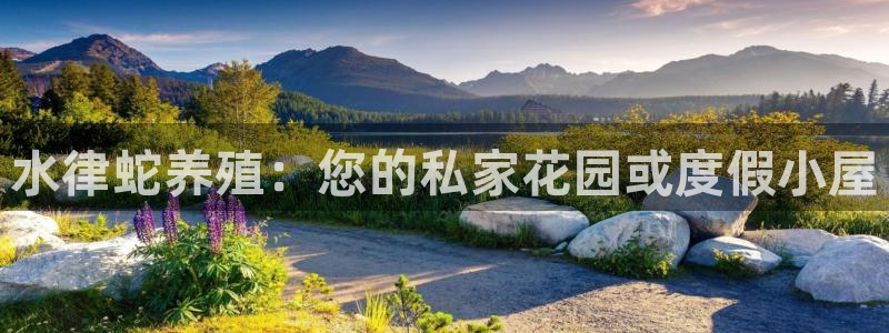 安信12网页版：水律蛇养殖：您的私家花园或度假小屋