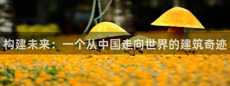 安信12怎么注册：构建未来：一个从中国走向世界的建筑奇迹