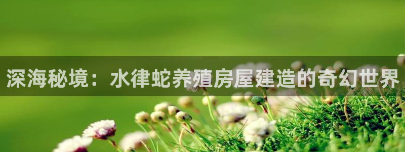 安信主管su金12手12指tq：深海秘境：水律蛇养殖房屋建造的奇幻世界