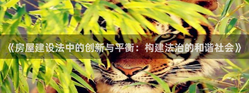 安信12真假