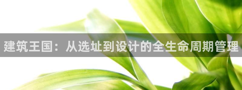 安信信托12 期：建筑王国：从选址到设计的全生命周期管理
