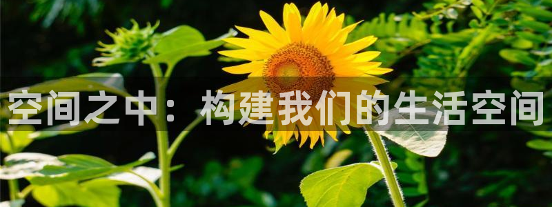 安信12网页版：空间之中：构建我们的生活空间
