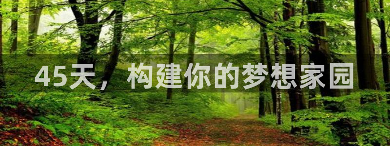 安信12代理：45天，构建你的梦想家园