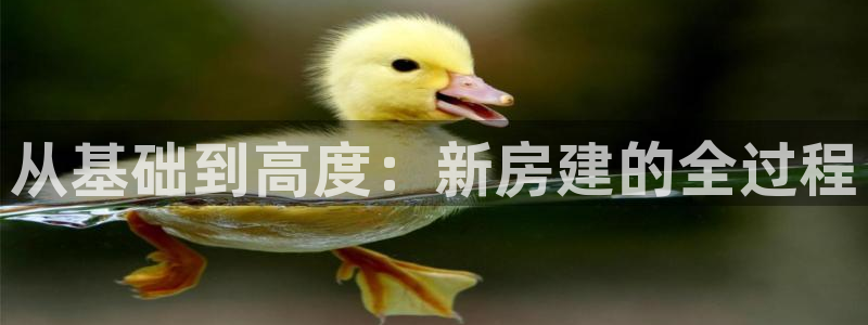 安信12是正轨网站吗：从基础到高度：新房建的全过程