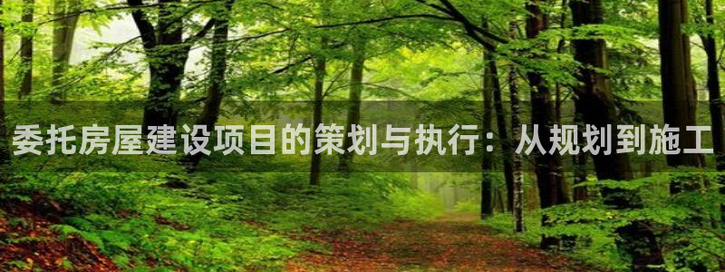 安信12负责人：委托房屋建设项目的策划与执行：从规划到施工