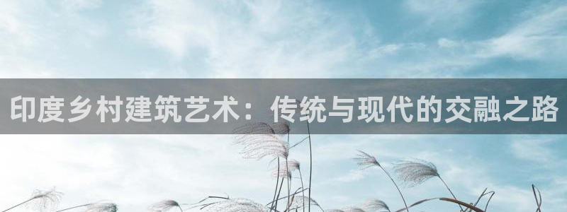 安信12级大众：印度乡村建筑艺术：传统与现代的交融之路