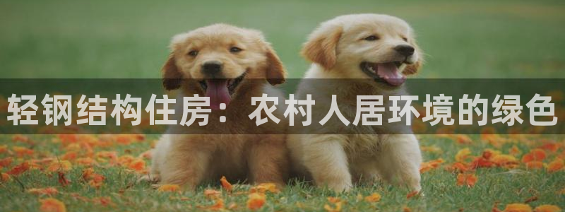 安信12彩票在线网址：轻钢结构住房：农村人居环境的绿色